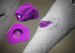 3D Modelling