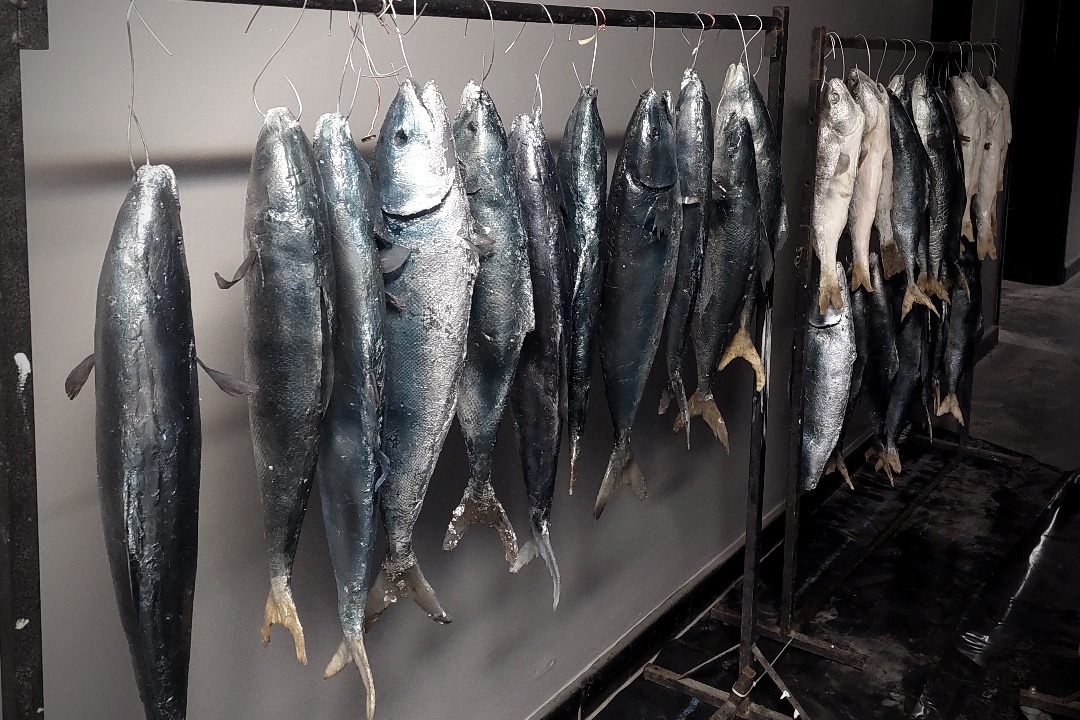 Props Fabrication · Animals, Fish