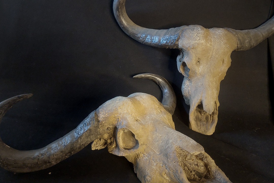Props Fabrication · Animal Skulls, Tusks, etc..