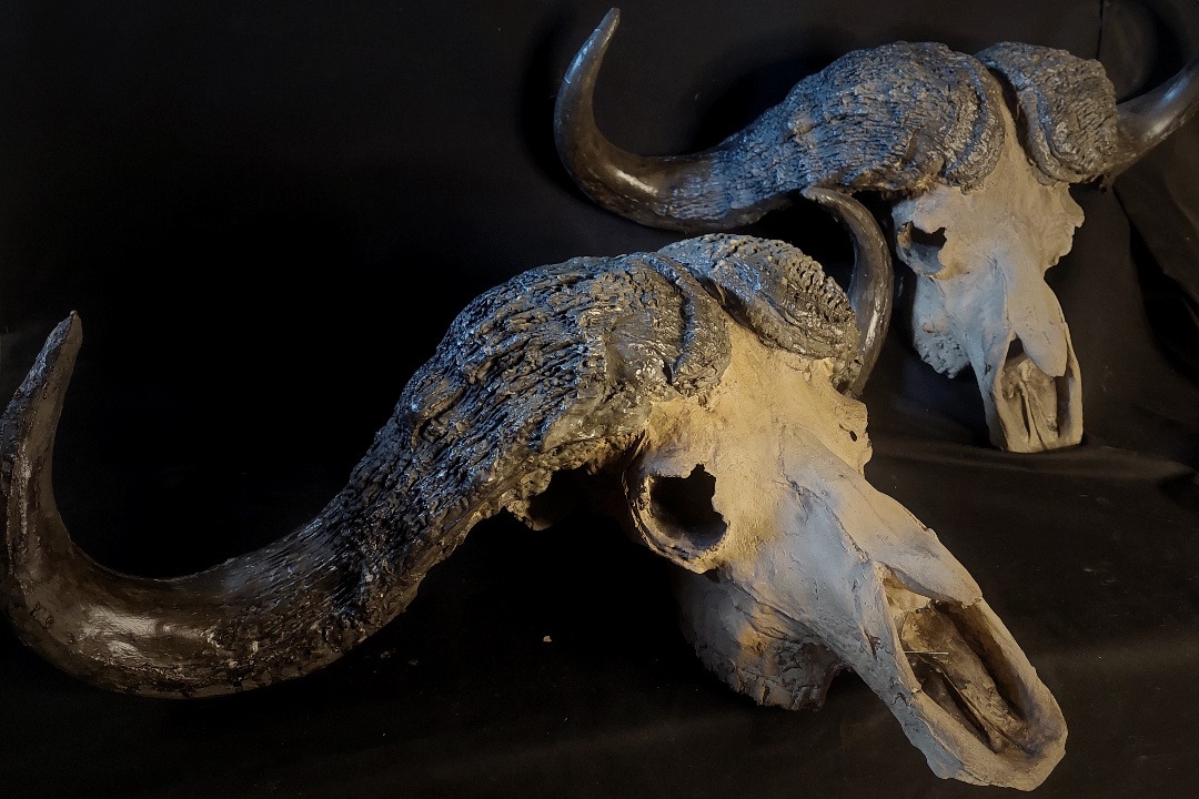 Props Fabrication · Animal Skulls, Tusks, etc..