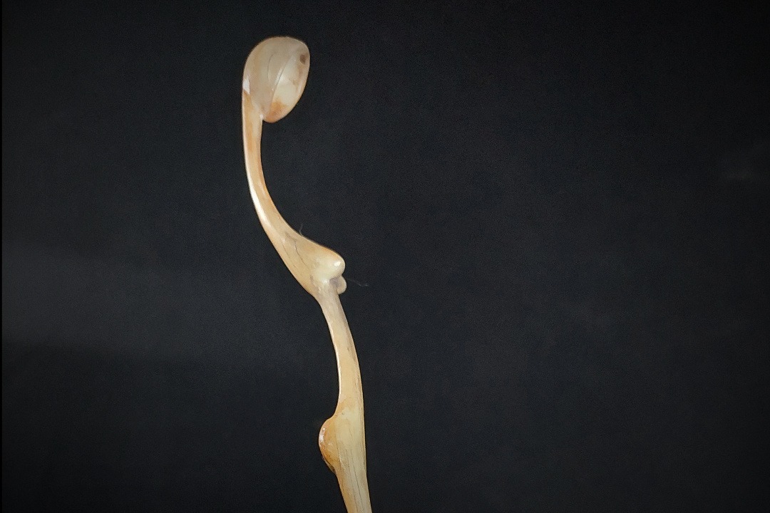 Props Fabrication · Historical Snuff Spoons