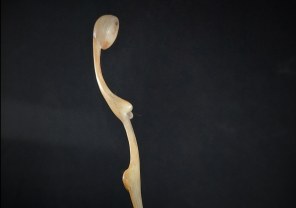 Historical Snuff Spoons
